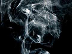 [테스데이] 조각 모음 (1) intro