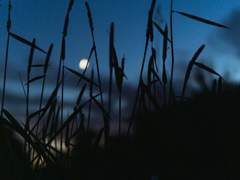 [BL] 영험한 밤의 몸종 (17) : 합방(合房)하였는가