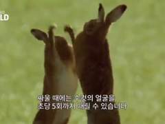 여름캠프 베일맷뎅