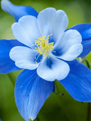 트위터 썰 재구성