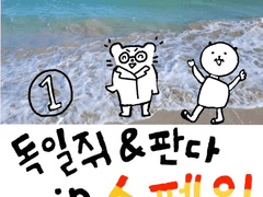 독일쥐&판다 in 스페인