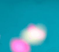 오사카스캔들 0