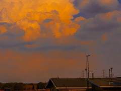 넌 이걸 사랑이라고 생각해?