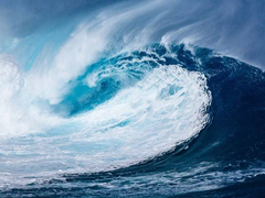 [대만준호] 해일.