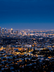 그때의 아역들은