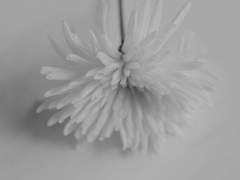 사라진 이들에게