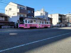 D+7 오사카 음식은 달아요