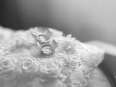 그대에게 고백할 것