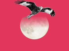 러닝중 안내사항