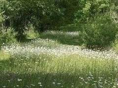 나의 광활함에게