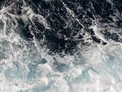 나의 새벽은 언제나 너였고,