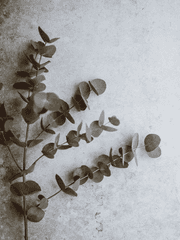 [밀선] 우울, 불안