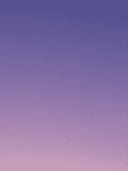 우부 외 타씨피