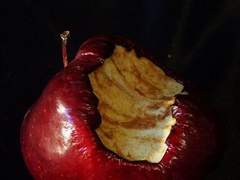 단어로 쓰는 이야기. 우리의 사과