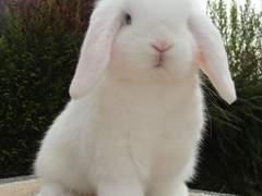 김재중 인스타 필터