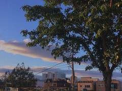 승혁 택 관계성