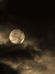 [국민] 유일 (流日)