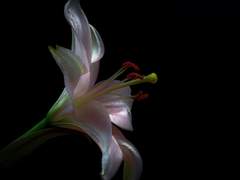 불변하며 유일한 삶의 목적