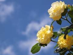 눈 뜰 수 있었던 절제