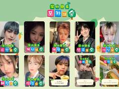 🎀 모동숲 투명포카 프레임 도안공유