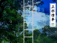 [도위소병] 정사제곱正邪情事 (下)