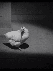 AI와 함께한 수요일