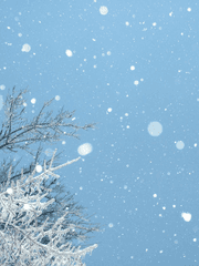 니비스 러브 아이넬라