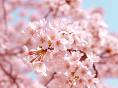 [COC 시나리오] (가칭) 그 남자가 수상하다.