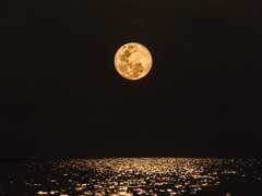 [종상] 달이 떴다고 연락을 주시다니요