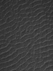 돈 없는 사립학교