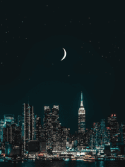 문호 스트레이독스