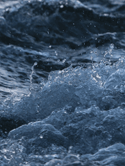 파도로 부서지는 것은