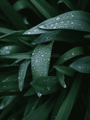 [현우백건현우] 머잖아 여름의 끝