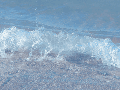 1. 바다엔 홍조가 가득해서