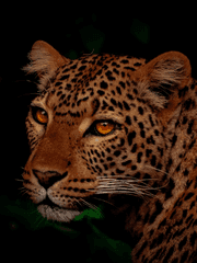 그럼에도 시간은 흘러간다