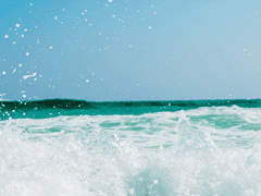 일렁이는 파도처럼