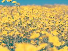 저수X방수 가성비 축전