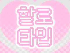 할로 타입 고정틀