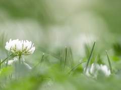 최 수빈/ 20/ XY/ 용사