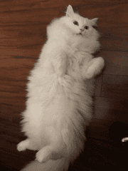 망한 글 모음집