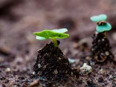 [루센/마키센] 월한강청(月寒江淸) - 외전