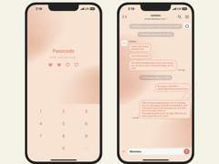 291. Cheek 01 - Warm tone (웜톤)