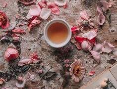 제로피리 백업 - 2