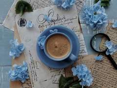 제로피리 백업 - 3