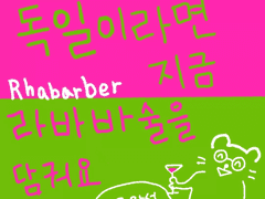 독일이라면 지금 라바바 술을 담궈요