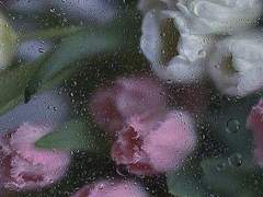 다복팔당多福八堂