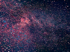 [변서황/게일이안] 꽃은 너보다 빠르게 시든다