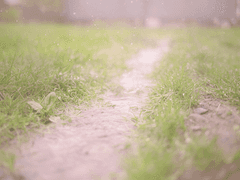 [로찬] 후회해도 소용 없다는 건 알지만