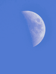 달에서 온 간호사