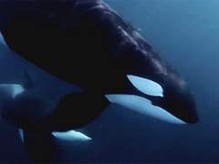 보기보다 남아있는 천진난만함, 마음이 앞질러가